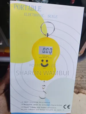 50kg Digital Electronic Weighing Scale/Digital Electronic Scale