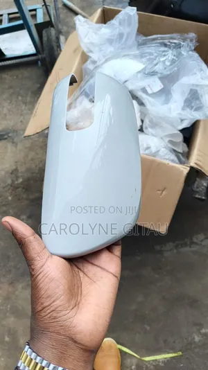 Axis Isis Ipsum Side Mirror Cover