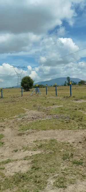 Joyce Wa Joska Plots