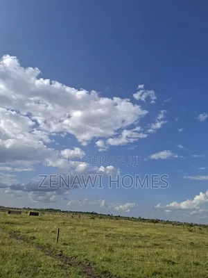 Plot Along Thikaroad Jr