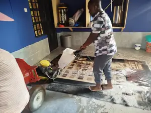 Professional Carpet Cleaning