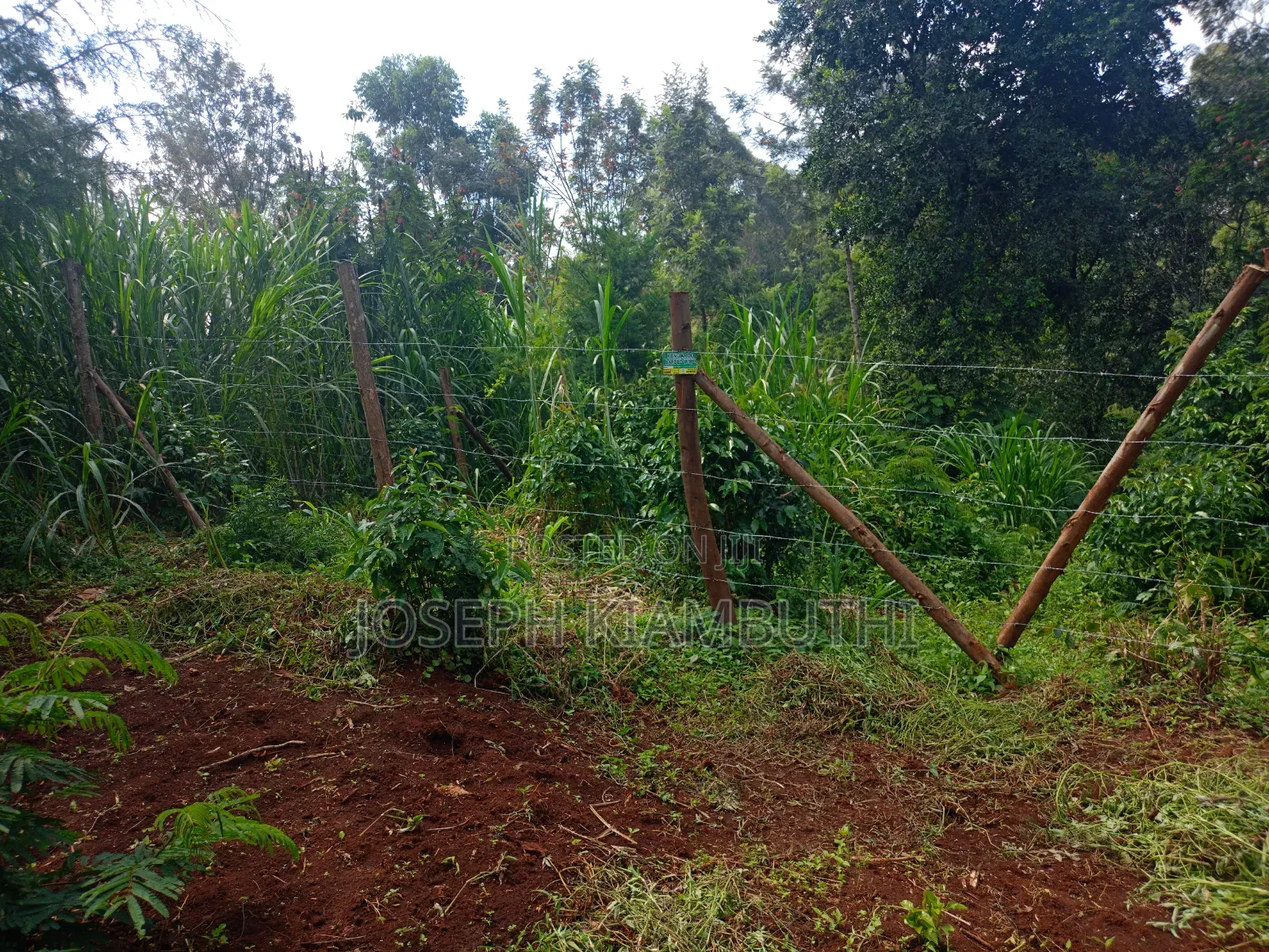 100*100 Plot in Ikinu,Kiambu