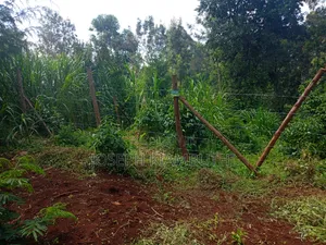 100*100 Plot in Ikinu,Kiambu