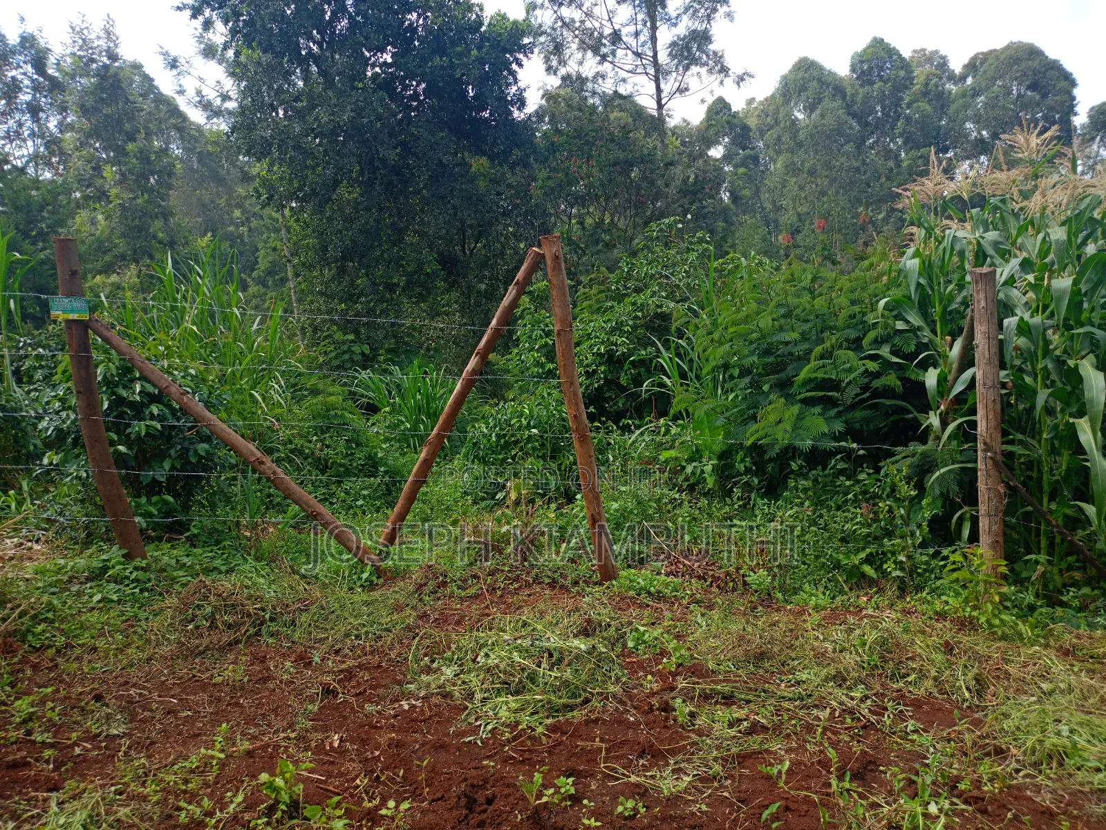 100*100 Plot in Ikinu,Kiambu