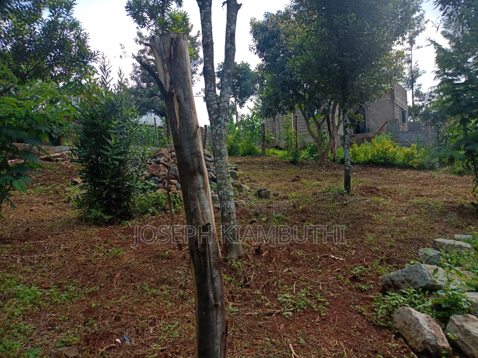 100*100 Plot in Ikinu,Kiambu