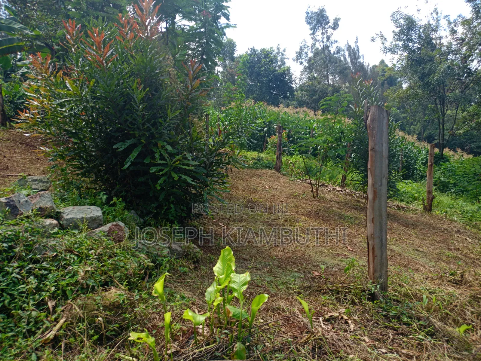 100*100 Plot in Ikinu,Kiambu