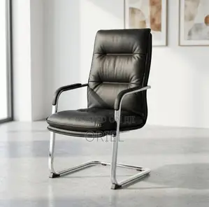 Office Chair : Executive Cantilever Visitor Chair