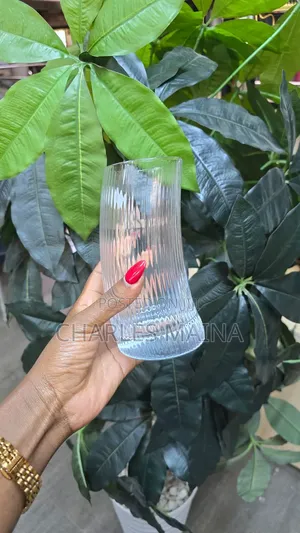 Crecent Shaped High Quality Glasses