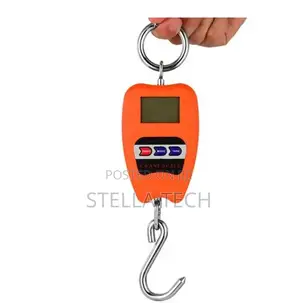 100 Kg Hanging Crane Scale