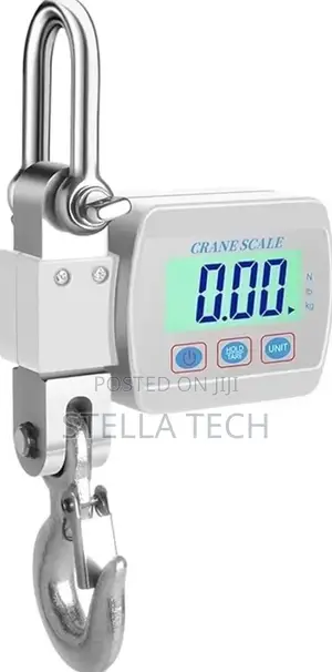 300kg Hanging Crane Scale