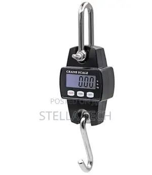 300kg Hanging Crane Scale