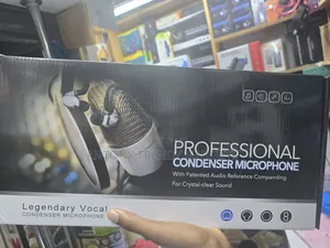 Professional Condenser Microphone