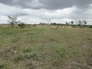 50 Acres Ballast Quarry Land for Sale