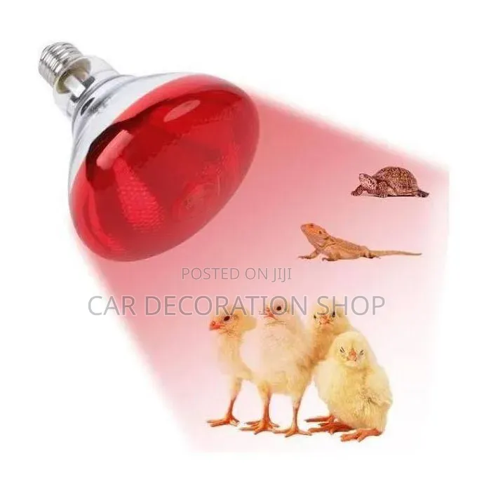 Red Infrared Heat Bulb