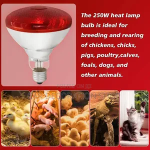 250w Tronic Infrared Bulb Designed for Warming Poultry, Puppies,Kitten