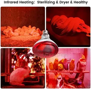 Infrared Bulb 250w Provide Therapeutic Targeted Heat Minimizing Light