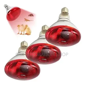 250w Lighting Red Infrared Chicken Bulb Glass Resistant to Damage
