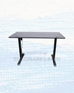 Heavy Duty One Split Full Electric Standing Desk Compact Sit Stand