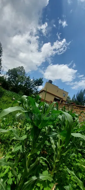 Land for Sale in Ngong