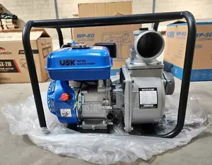 Usk Water Pump 3 "