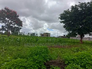 40 by 80 Plot on Sale at Twiga Farm