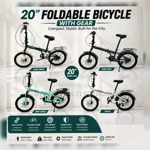 Size 20 Foldable Bike With Gears and Disc Brakes