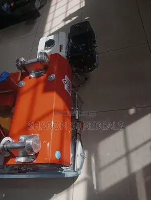 Concrete Hoist Best Quality Iori 500kg Weight