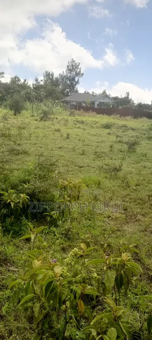 Plot for Sale