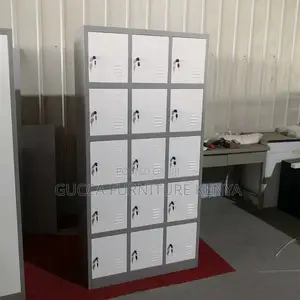 15-Door's Imported Gym/School Storage Locker