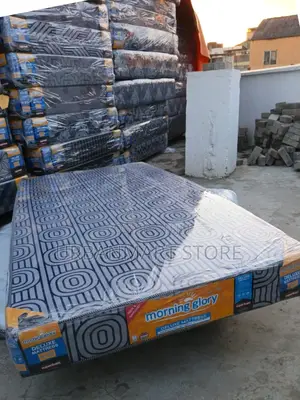 Superfoam Morning Glory Medium Density 3x6 6 Inch Plain Mattress