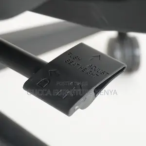 Executive Adjustable Reclining Ergonomic Seat