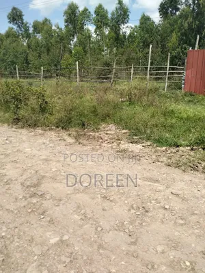 10 Acres Land for Sale