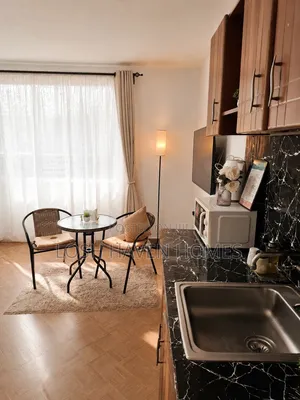Modern Cozy Studio Bnb With Wifi Parking In Roysambu Trm Kasarani