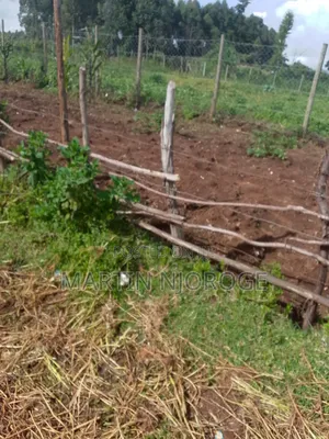 1⁄2 Acre Limuru Town Area