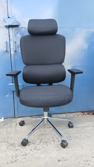 Lower Back Support Office Chair