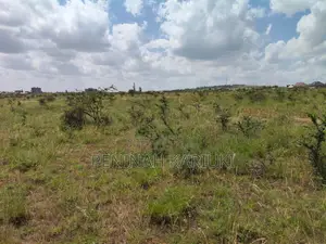 50by 100 Plot Opposite KBC Near Eastern Ark Hotel, Kangundo Rd, Malaa
