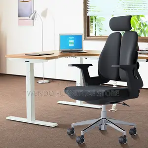 Office Chairs; Orthopedic Executive Chair With Dual Backrest