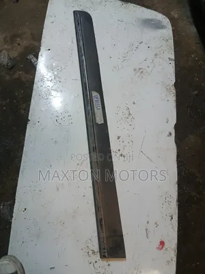 Mazda Verisa Door Moulding