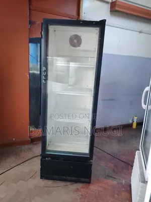 Elagant Display Fridge