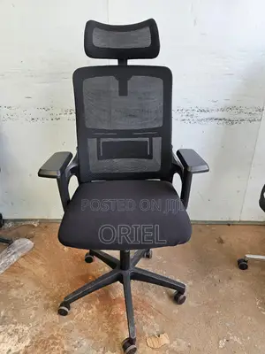 Office Chair : Ergonomic High Back Mesh Chair