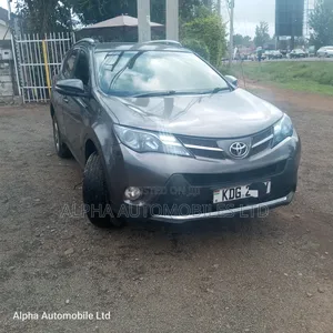 Toyota RAV4 LE 4dr SUV AWD (2.5L 4cyl 6A) 2014 Gray