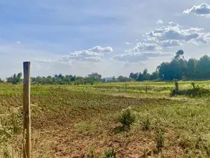 100*100 Land Kamangu, Kikuyu