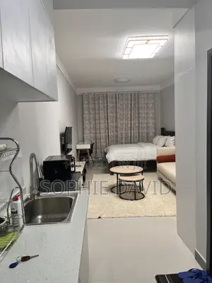 Luxurious Studio Along Mombasa Road - Sabaki Green