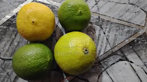 Green Lime