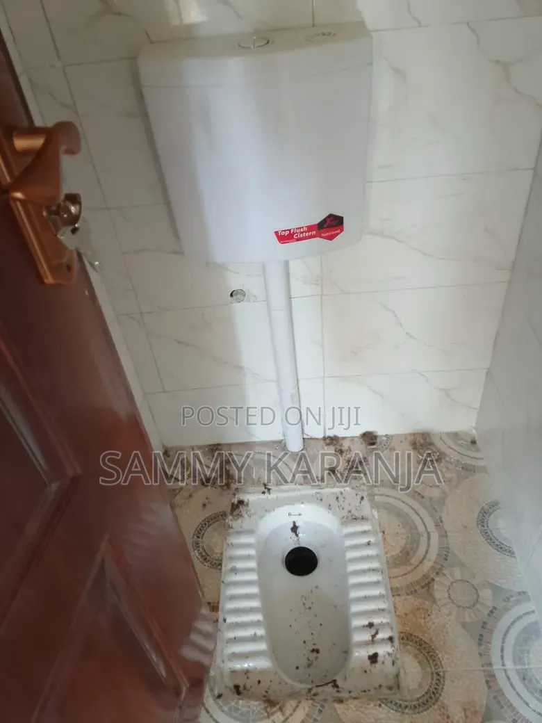 Plumber Services