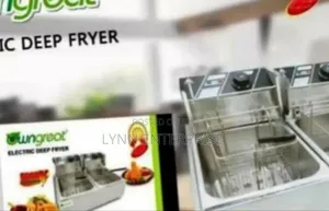 Owngreat 12litre Double Deep Fryer