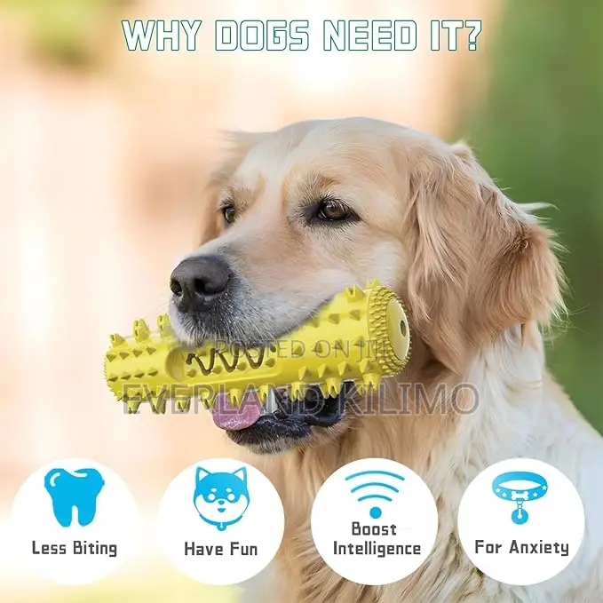 Squeeaky Chew Brush Toy