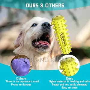 Chew Squeaky Toy