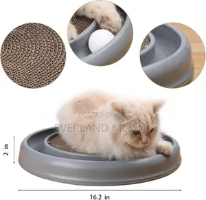 Interactive Cat Scratcher With a Ball