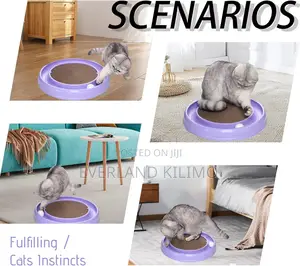 Cat Toy Scratcher